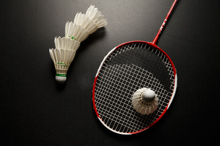 养成系统 养成系统